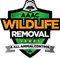 Monroe Wildlife Removal